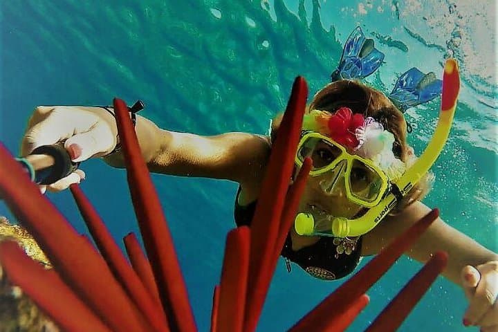 Maui Snorkel Adventure: Molokini Crater and Turtle Cove 