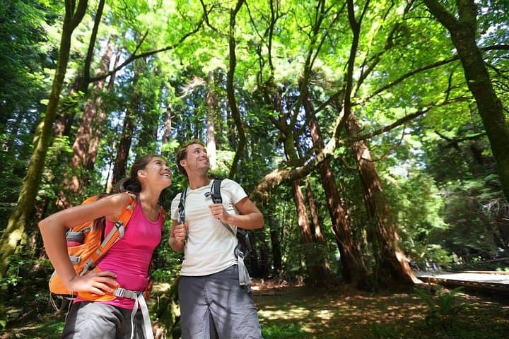 San Francisco Excursion: Guided Tour to Muir Woods and Sausalito