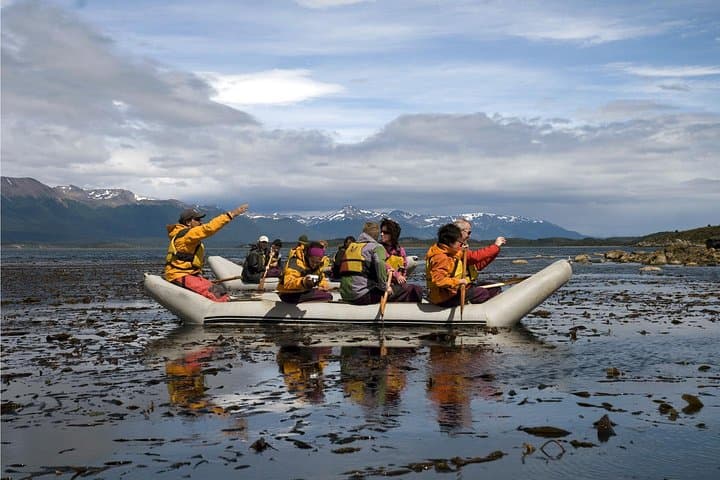 Full-Day Gable Island Eco-Adventure in the Beagle Channel