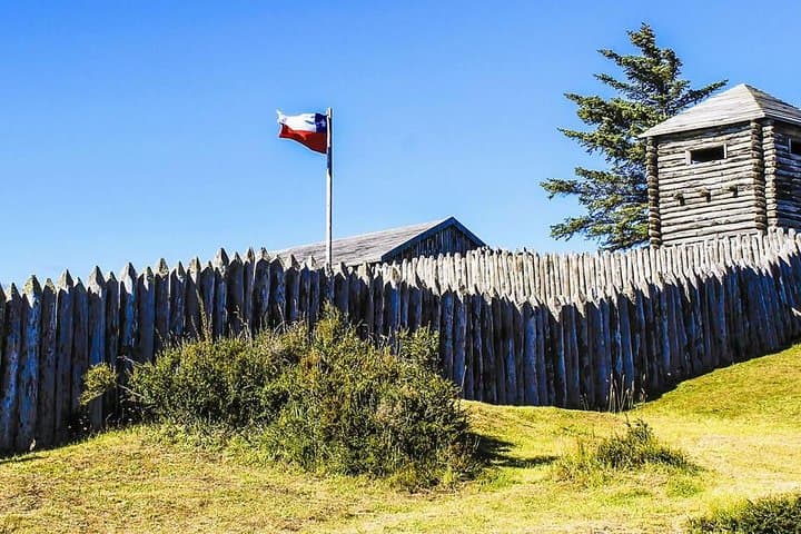Punta Arenas and Magellan Strait Tour