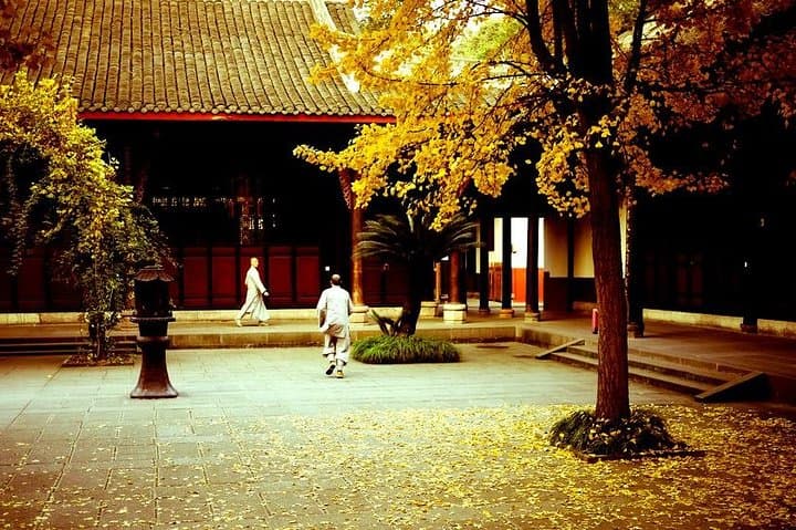 Chengdu Food Tour with Wenshu Yuan Monastery Visit