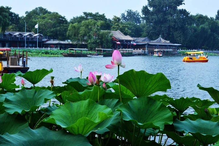 3-Hour Private Hutong Walking Tour with Drum Show at Drum Tower and Tea Tasting