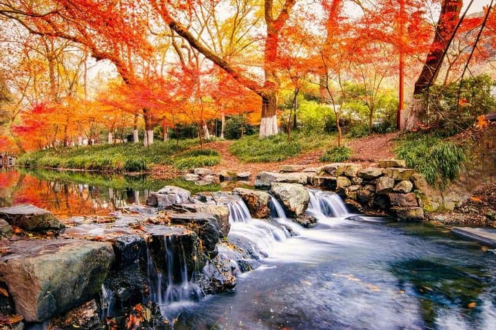 Half-Day Hangzhou Nine Creeks Hiking Tour with Tea Plantation Experience