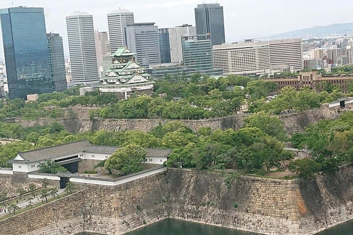 Osaka Castle & Dotonbori Lively One-Day Walking Tour