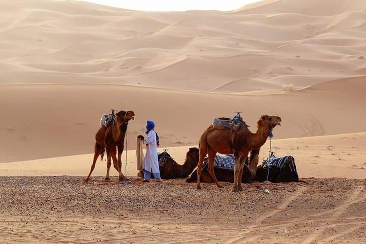 From Marrakech 4 Days Tour To Morocco Sahara Desert