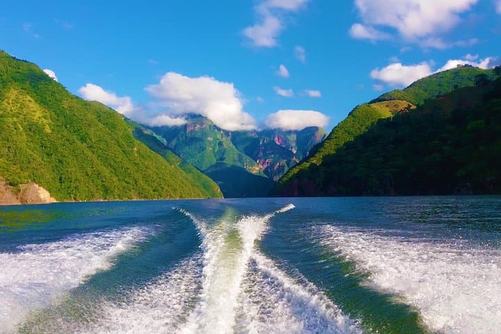 Private Tour - Boat Ride Topocoro Lake (Nature)