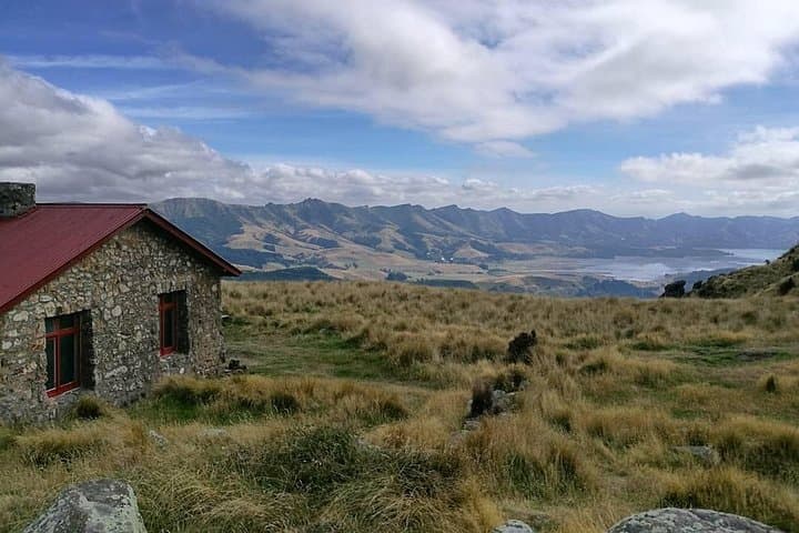 Off The Beaten Track- Packhorse Hut Guided Walk(Small Group Tour)