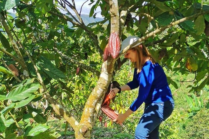 Chocolate Farm Private Tour in Medellin: Real Genuine Experience