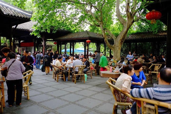 Chengdu Panda Tour and local Culture Experience