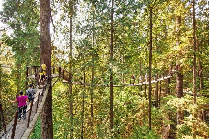 Vancouver City Tour With Stanley, Grouse Mountain & Capillano Suspension Private