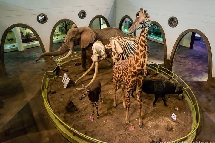 Half-Day Guided Tour to Nairobi National Museum and Snake Park