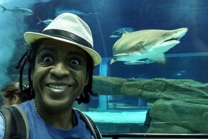 AquaRio + Olympic Boulevard + Transportation