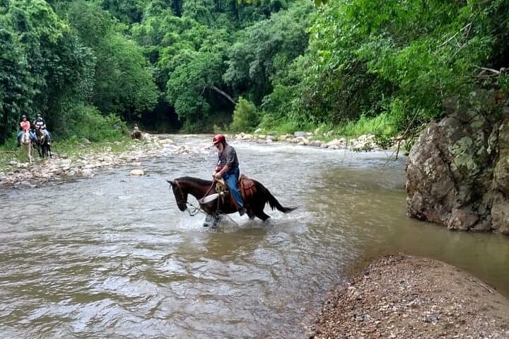 Experience Horse Riding, ATV & Zipline from Puerto Vallarta