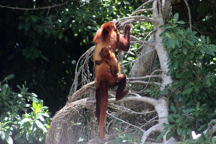 The Howling Trail Hike 