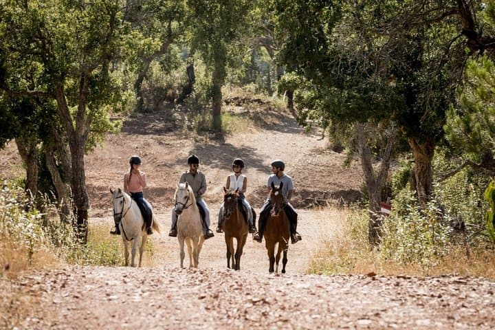 1.5 hr Horseback Riding Montevideo, Uruguay, with transportation