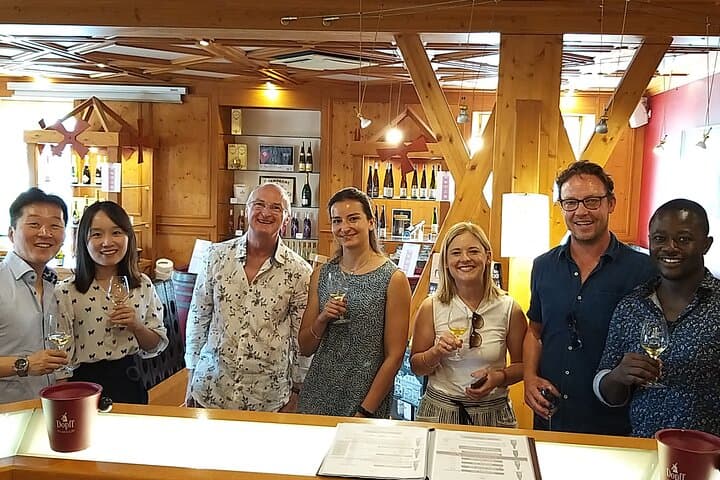 Alsace wine tour and medieval villages. Small group guided tour