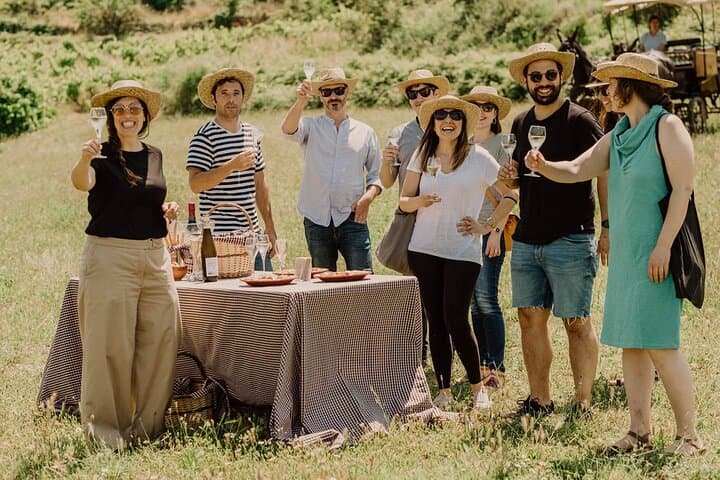 Montserrat Private Tour, Lunch & Wine Tasting in Penedes Winery 