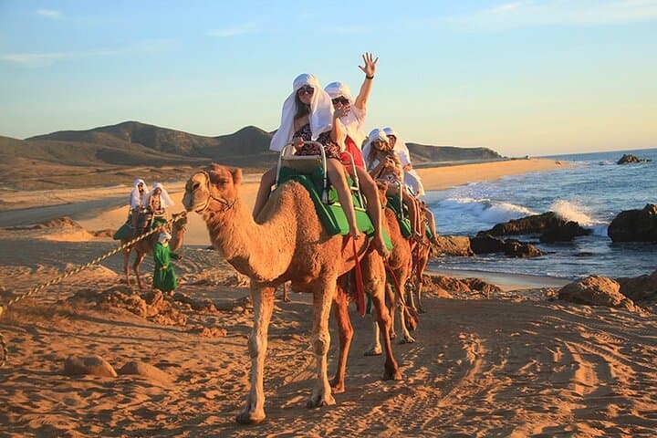 Camel Ride On The Beach at Los Cabos