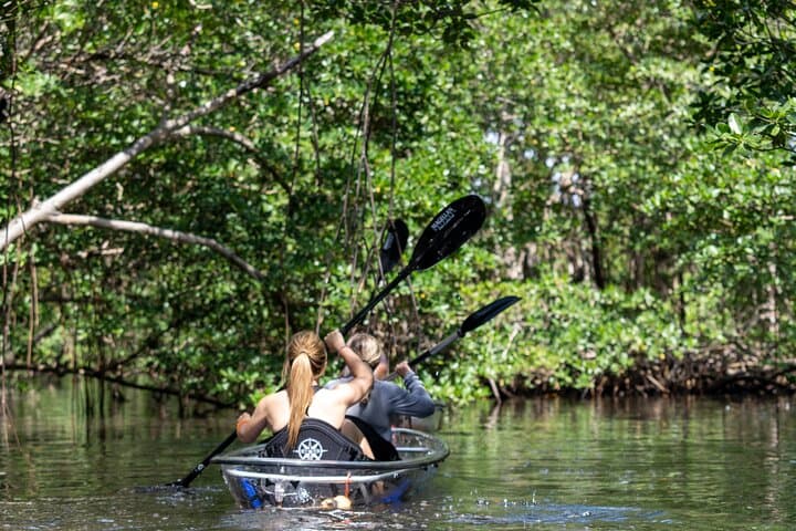 Clear Kayak Tour in North Miami Beach - Mangrove Tunnels