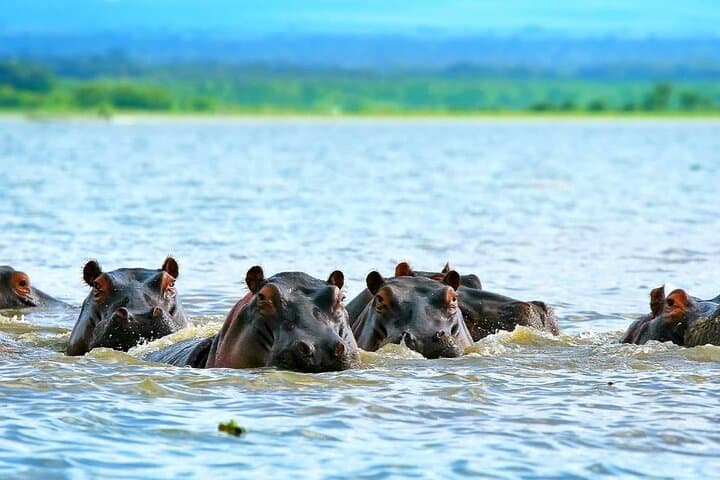 Full day; Hells Gate National park & Lake Naivasha from Nairobi.
