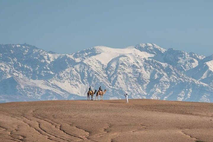  Marrakesh: Atlas Mountains and Agafay Desert Tour 