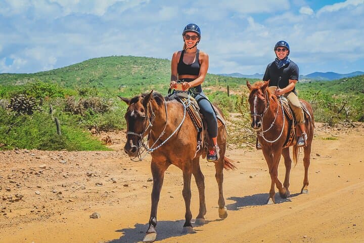 Los Cabos Horseback Riding