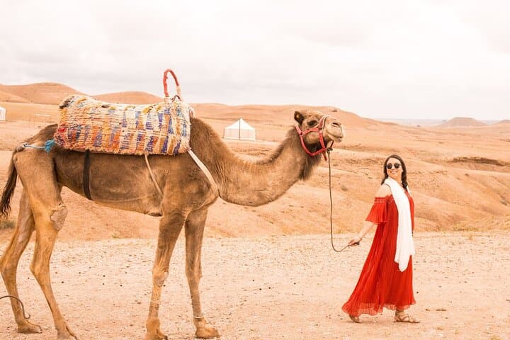 Private Full-Day Tour of Agafay Desert and Atlas Mountains 