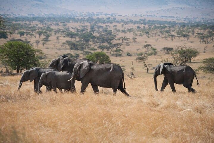 Private Tanzania Safari & Active Culture Tour