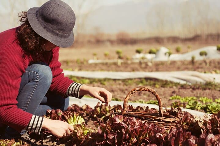 Private Earth Experience in Mendoza