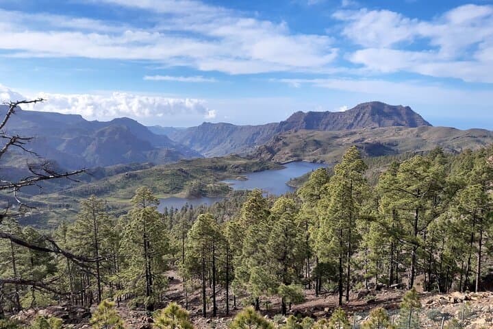 Hiking experience in the north of Gran Canaria