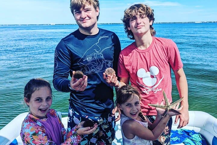3 Hour Dolphin Private Guided Tour By A Marine Biologist