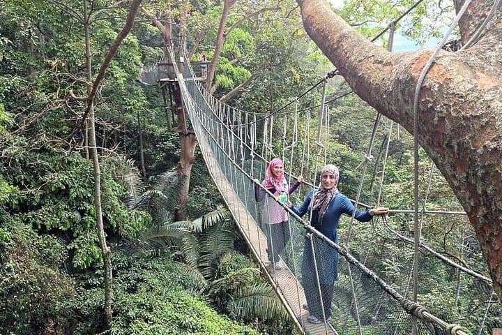 Forest Research Institute Malaysia (FRIM) Nature Trekking Tour