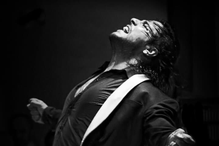 Flamenco Live Show and Dinner in Mexico City