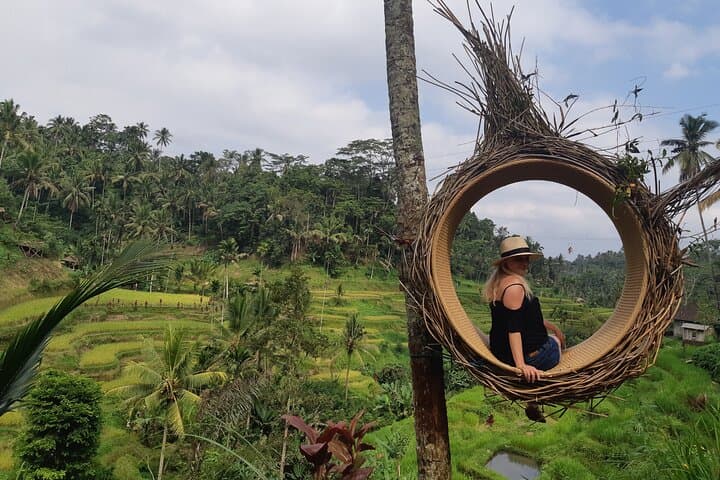 Best Bali Ubud Full Day All-Inclusive Private Tour