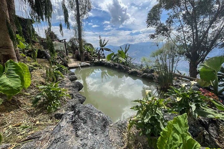 Medellin Coffee Tour & Spa