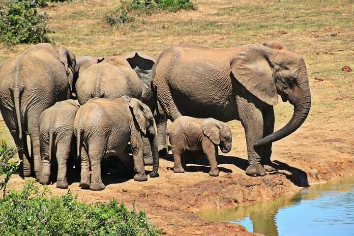 15 Day South Africa Adventure Cape Town to Johannesburg