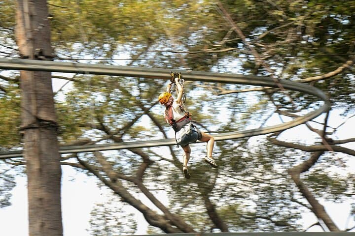 Jungle Flight Zipline Adventure From Chiang Mai