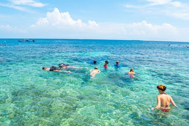 A whole day to the 5 Rosario Islands with snorkeling and plankton