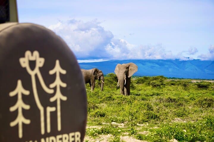  5-Day Mid-Range Safari in Tanzania