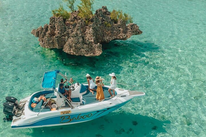 Signature Experience: Dolphins and Flavors of the Sea