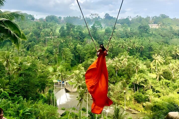 Bali Swing Activities and Ubud Full Day Tour