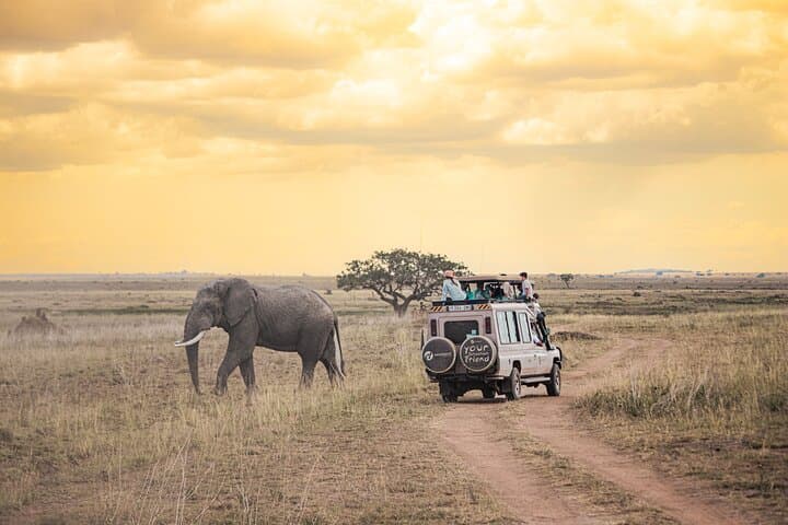 Tanzania Classic - 7 Days