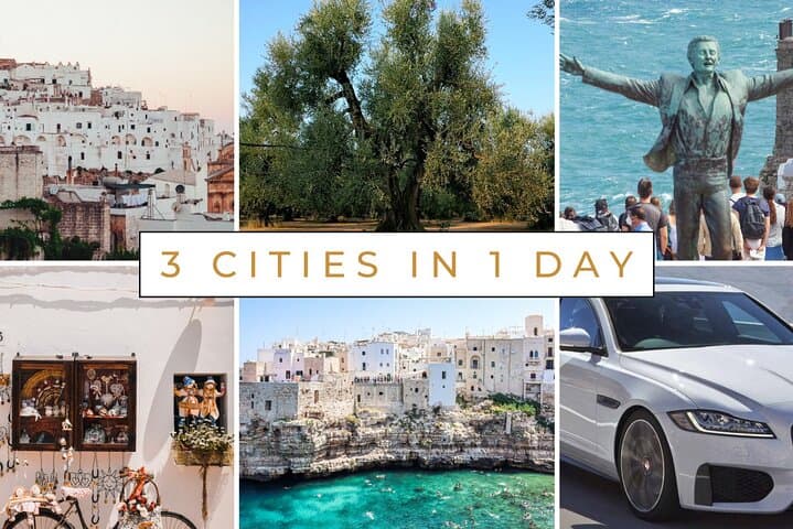 Ostuni, Locorotondo & Polignano: Private or Semi-Private Tour