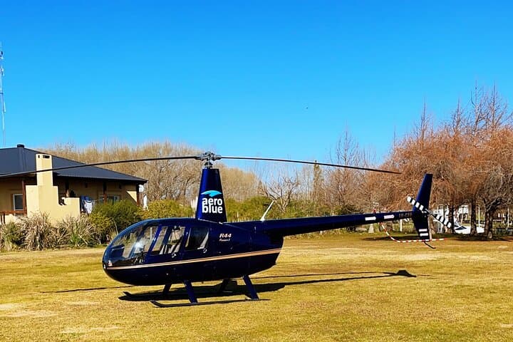 Helitour over the City of Buenos Aires and lunch in the delta