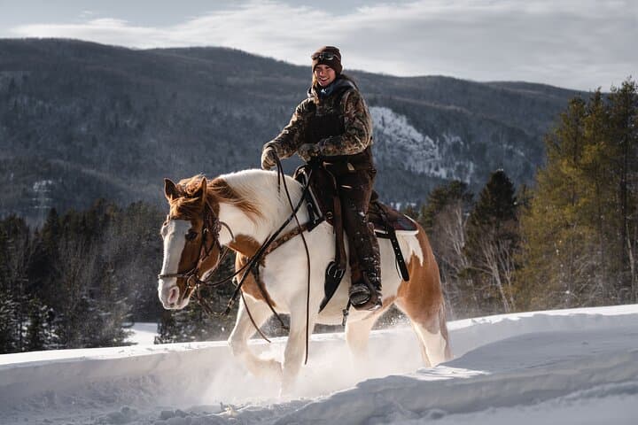 Guided Horse Riding in the Bay of Saint Paul Valley