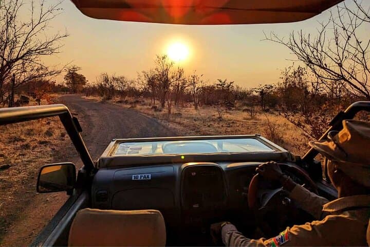 Off the Beaten Path: Unique Safaris in Zambezi National Park 