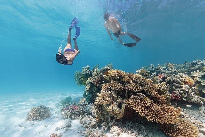 A Cook Islands Turtle Tour - small groups, premium experience