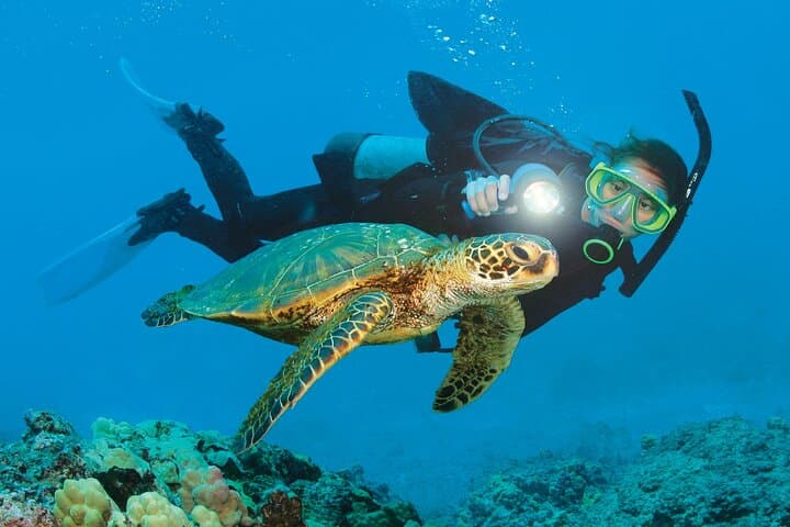 Mediterranean Diving Adventure from Antalya, Belek, Kemer