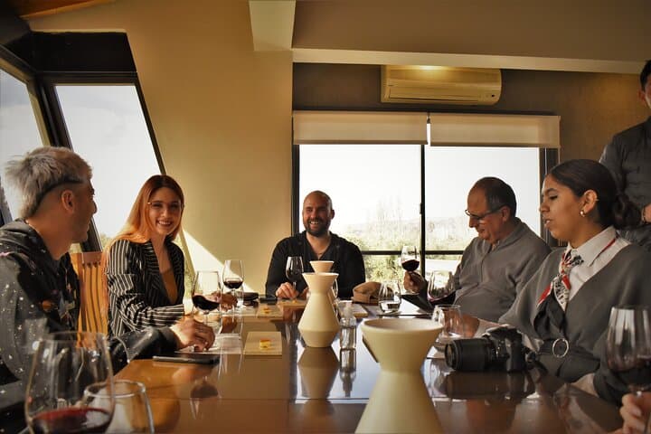 Top Rated: Winery Tour with Lunch in Mendoza