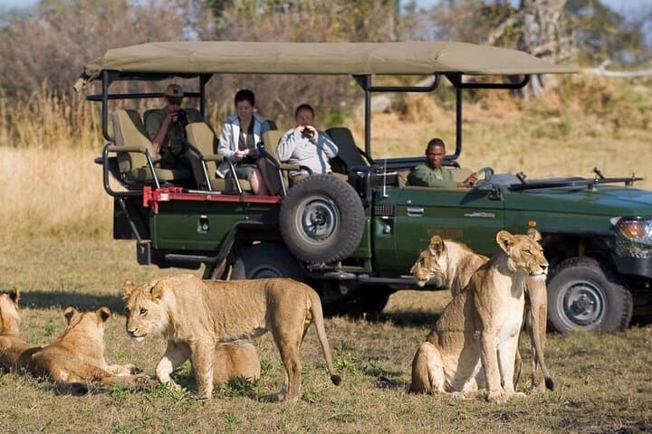 Cape Town to Durban & Garden Route - 7 day Private Safari 